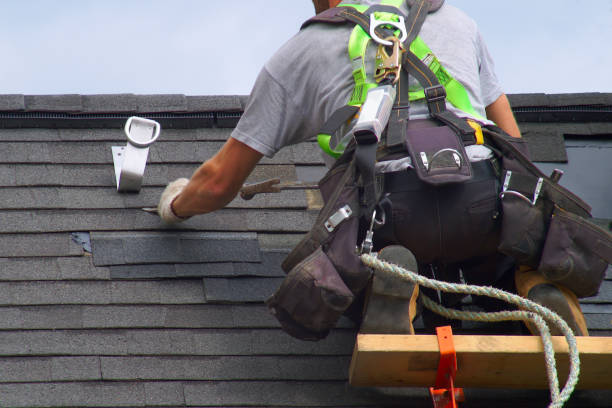 Best Roof Gutter Cleaning  in Moodus, CT